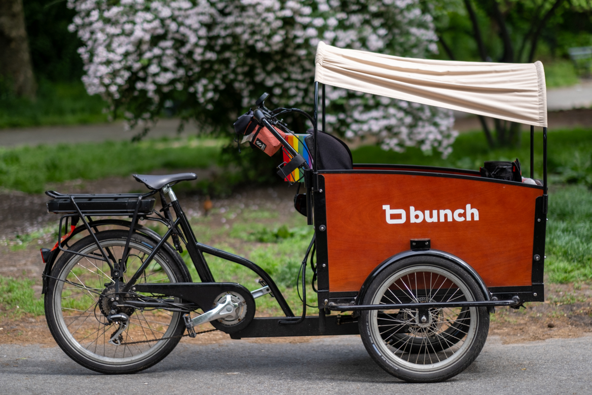 Dog Bike Bunch Bunch Bikes Electric Bike With Cargo Box Bunch The