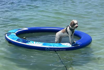 8' Island Hammock Float