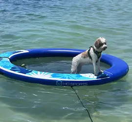 8' Island Hammock Float