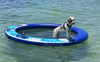 8' Island Hammock Float