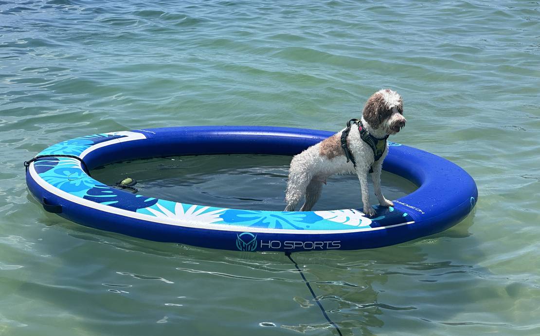 8' Island Hammock Float