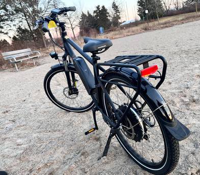 Rad City 4 Electric bike