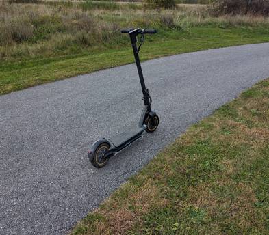 Dual 350w motor scooter