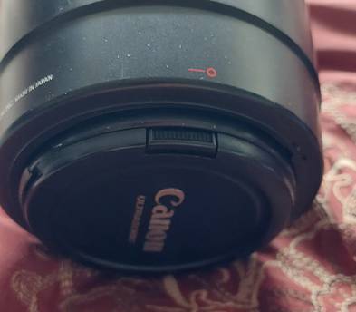 Canon 70-200mm IS f/2.8 USM Lens