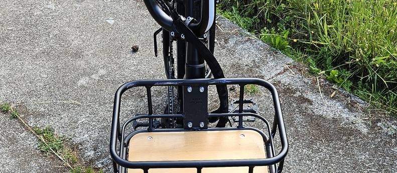 RadPower RadRunner