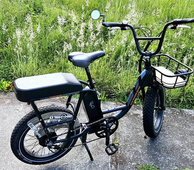 RadPower RadRunner Utility E-Bike ×2