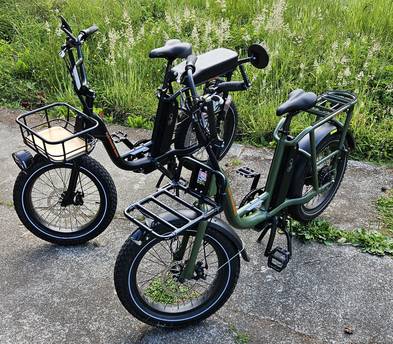 RadPower RadRunner Utility E-Bike ×2