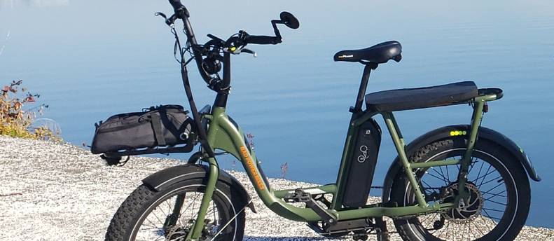 RadPower RadRunner Utility E-Bike ×2