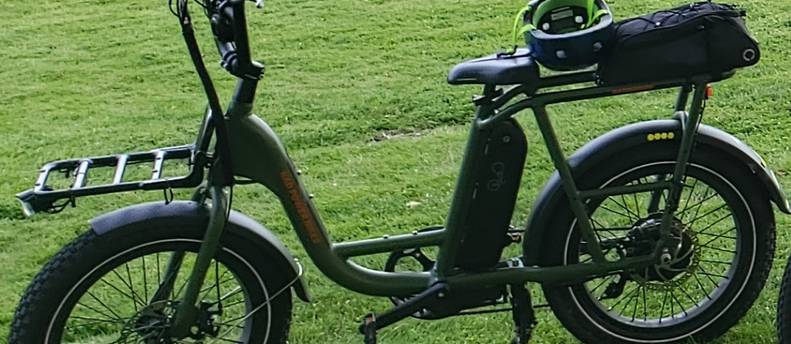 RadPower RadRunner Utility E-Bike