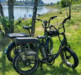 RadPower RadRunner Utility E-Bike ×2