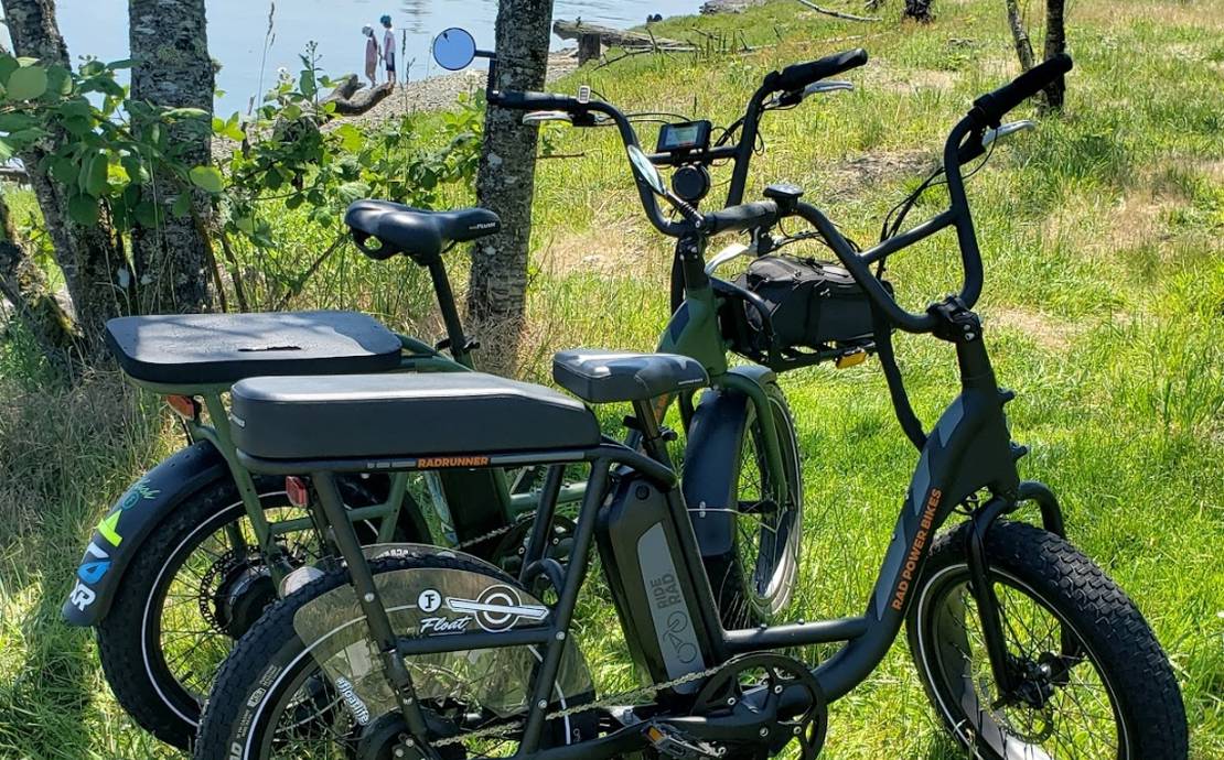 RadPower RadRunner Utility E-Bike ×2