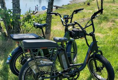 RadPower RadRunner Utility E-Bike ×2