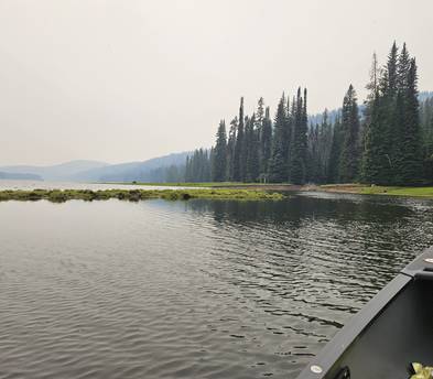 Old Town Next flat water canoe/kayak