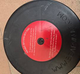 BearVault 500 model BV500