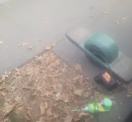 One wheel pint