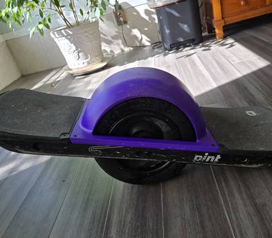 Onewheel Pint or Onewheel S