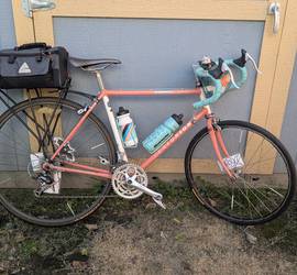 Vintage women's road bike
