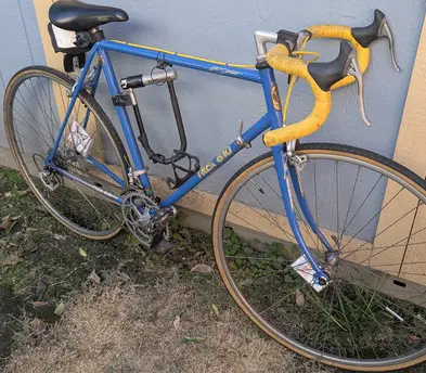 Vintage Trek road bike