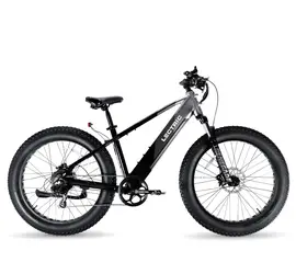 Lectric Xpeak high step