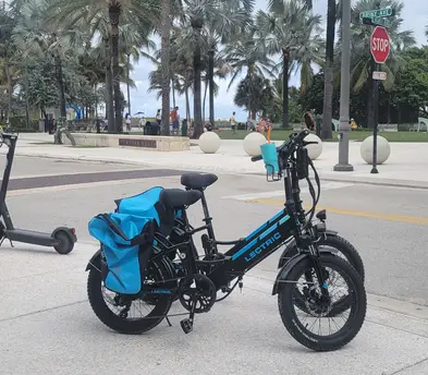 Lectric xp3