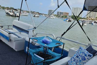 Private Boat Tour on Pontoon with Licensed Captain