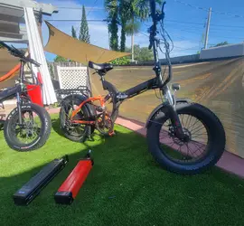 Ebike, Ebike + backup battery + gorilla cart