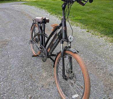 Magnum Low Rider E-bike
