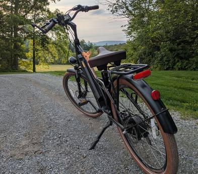 Magnum Low Rider E-bike