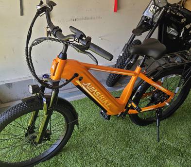 Aipas M2 Pro XTerrain All-Terrain Electric Bike