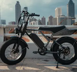 Jasion Retro Volt pro E-bike