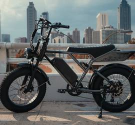 Jasion Retro Volt pro E-bike