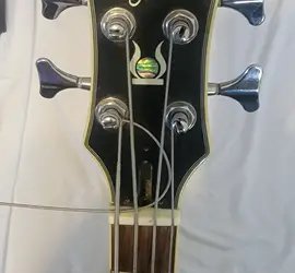 Jay Turner Bass Guitar