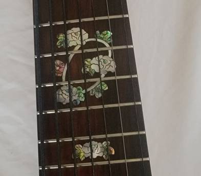 Beautiful 7 string Bass Guitar Jazz Funk Gospel