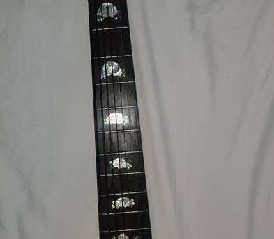 Beautiful 7 string Bass Guitar Jazz Funk Gospel
