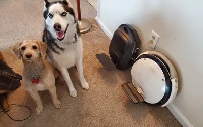 Electric Unicycle - Starter wheel with a lesson (negotiate better wheel for advanced rides)r)