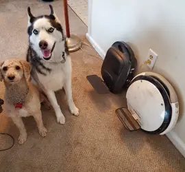 Electric Unicycle - Starter wheel with a lesson (negotiate better wheel for advanced rides)r)