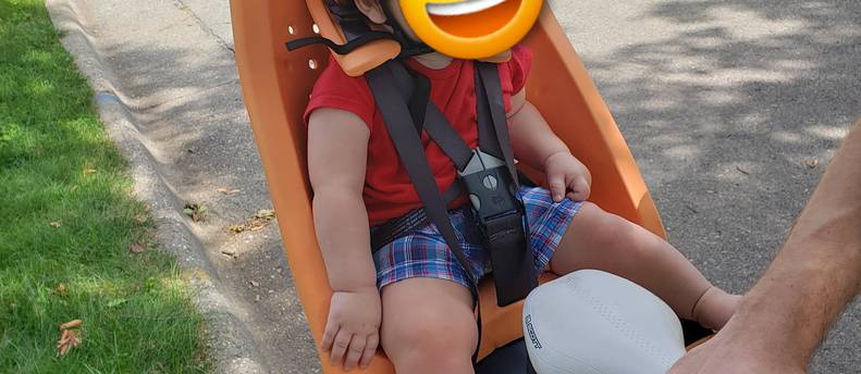 Thule Yepp Maxi Child Bike Seat (Frame Mount)