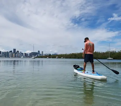 Stand Up Paddle Board - One (SUP)