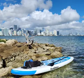 Stand Up Paddle Boards - Two (SUPs)