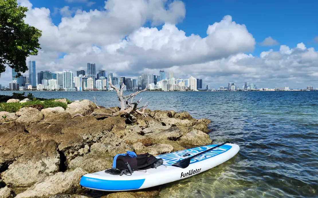 Stand Up Paddle Boards - Two (SUPs)