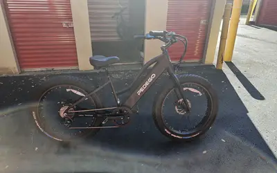 Bike rental in Tampa