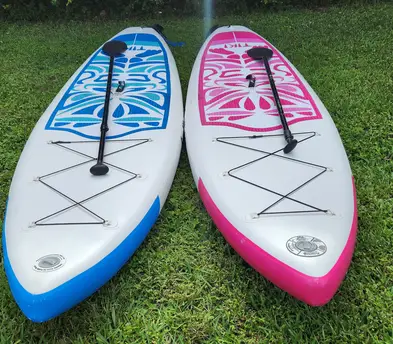 Stand Up Paddle Boards - Two (SUPs)