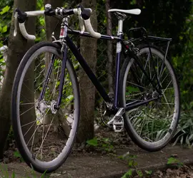 Specialized Roll 1