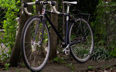 Specialized Roll 1