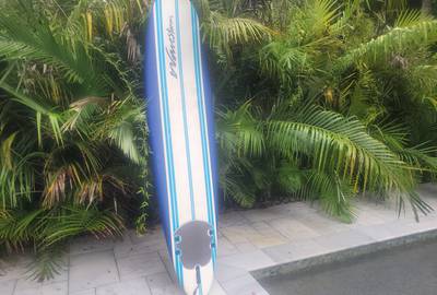 Longboard - Soft Top Surfboard - 8 ft