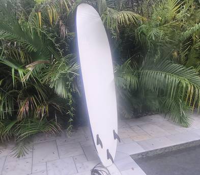 Longboard - Soft Top Surfboard - 8 ft