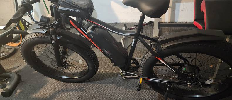 Electric bike