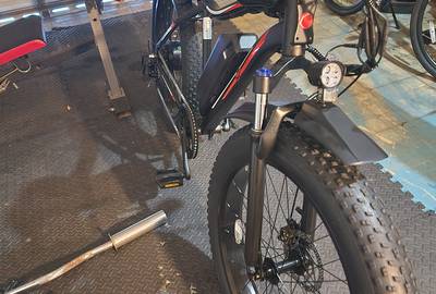 Electric bike