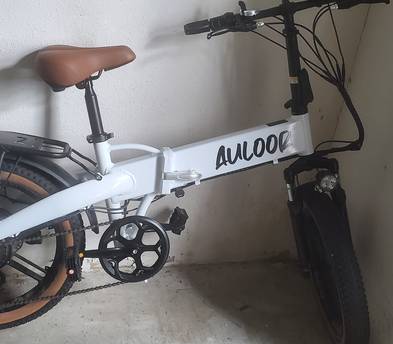 E bike