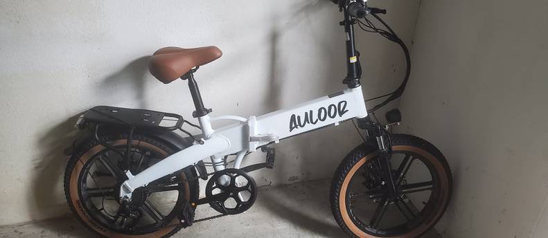 E bike